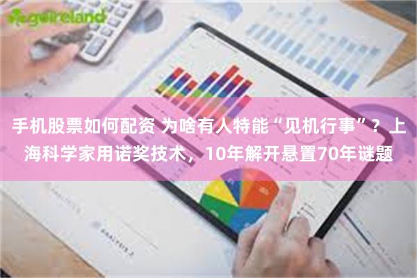 手机股票如何配资 为啥有人特能“见机行事”？上海科学家用诺奖技术，10年解开悬置70年谜题
